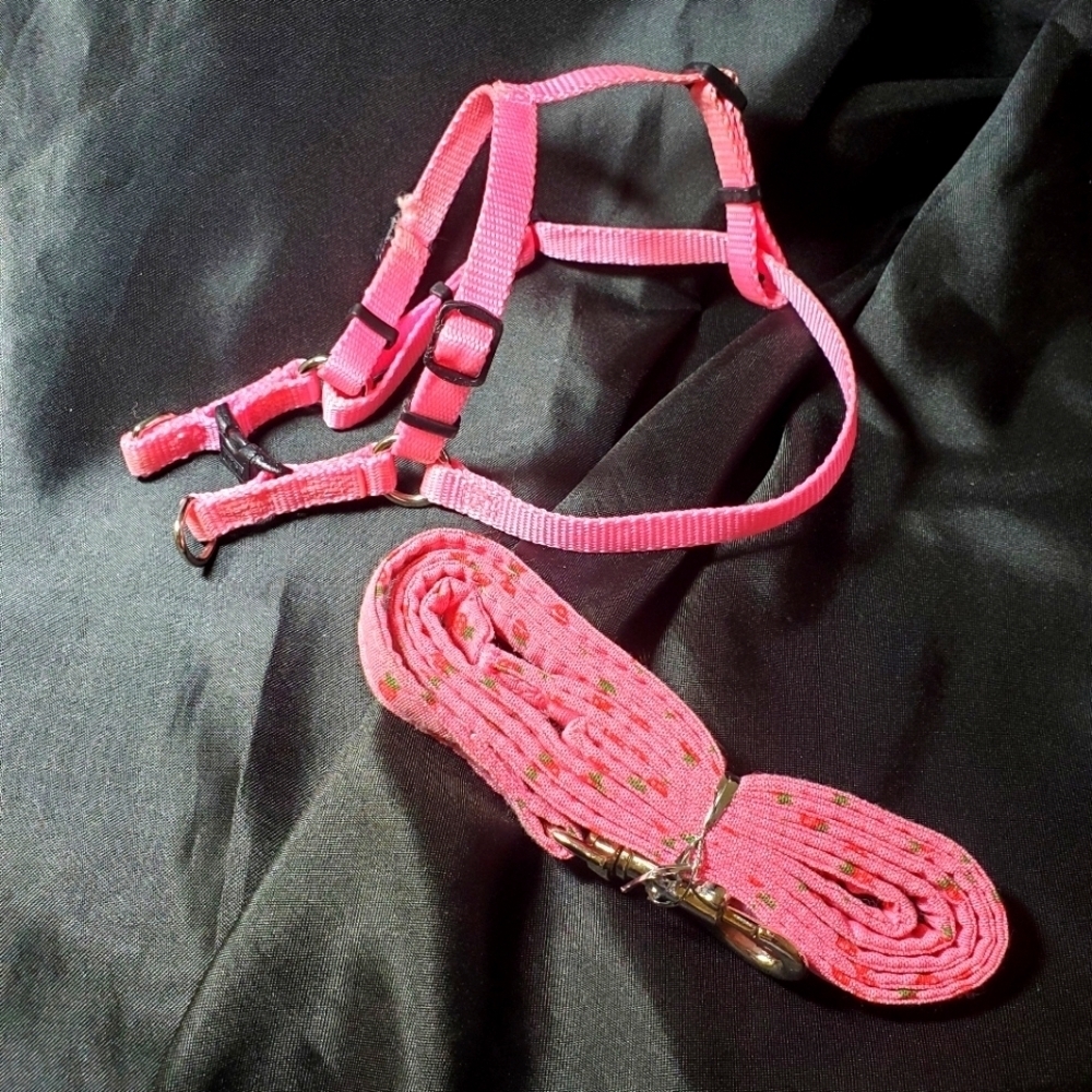 Tuff Harness and leash